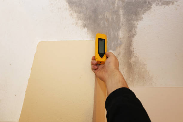 Best Airborne Mold Testing  in Staic, CA