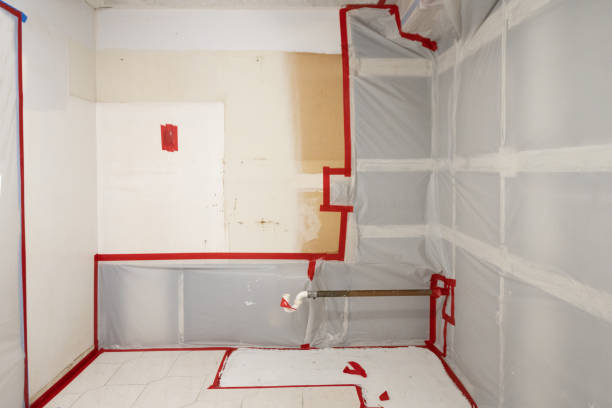 Professional Mold Removal in Castaic, CA