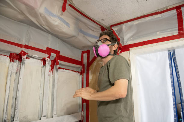 Best Mold Prevention Services  in Staic, CA