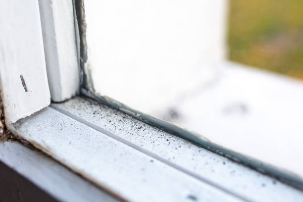 Best Commercial Mold Inspection  in Staic, CA