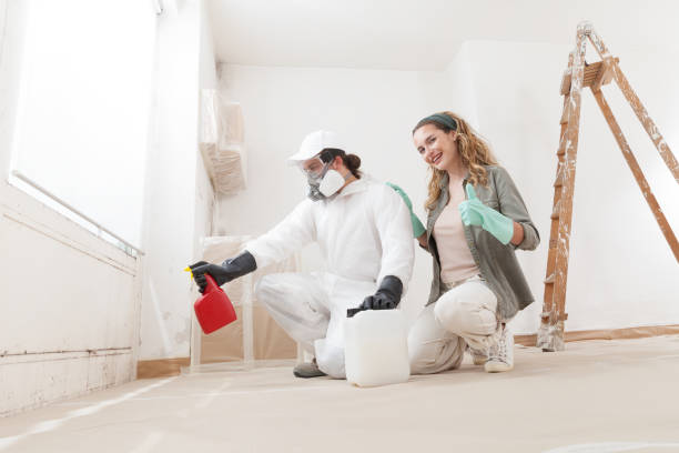 Best Water Damage & Mold Remediation  in Staic, CA